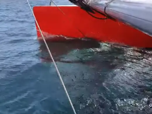 Vidéo