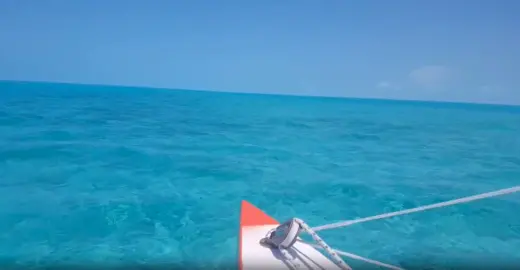 Vidéo